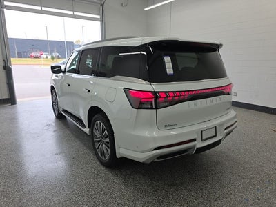 2026 INFINITI QX80 LUXE